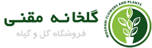 گلخانه مقنی