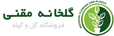 گلخانه مقنی