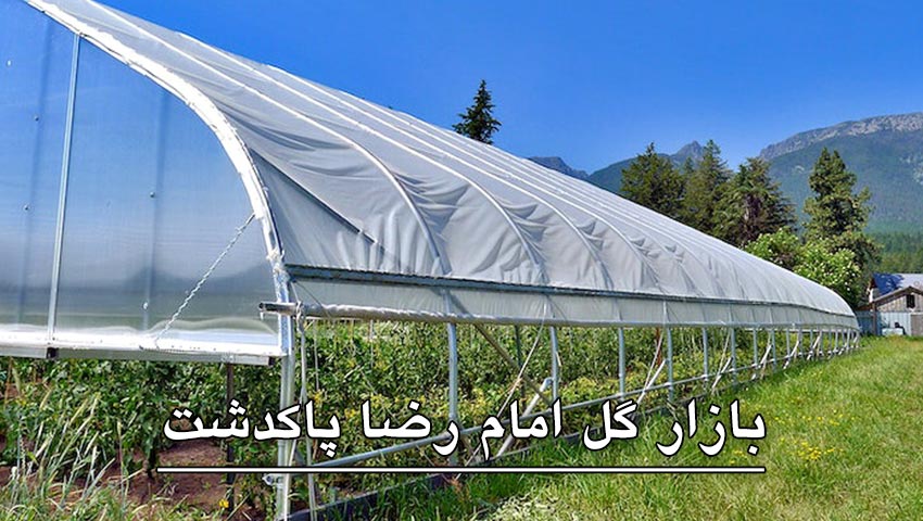 بازار گل امام رضا پاکدشت