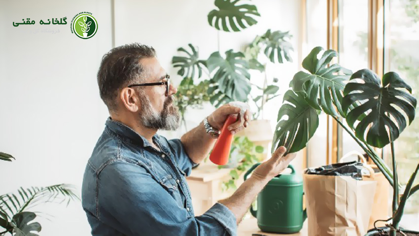 چگونه گلها را سریعتر رشد دهیم؟