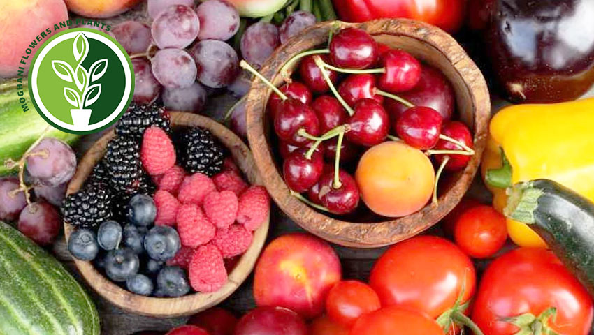 در ماه خرداد چه بکاریم؟