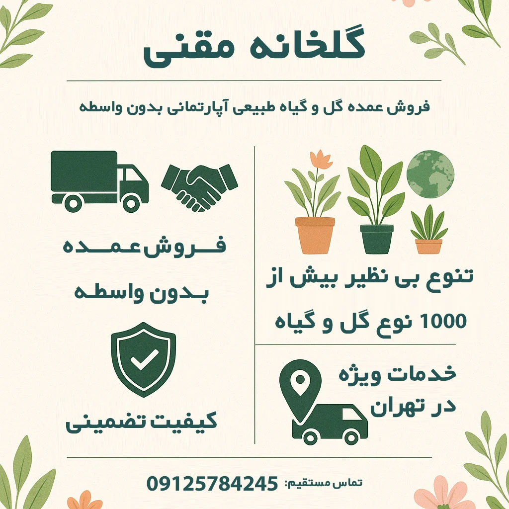 گلخانه مقنی فروش عمده گل و گیاه
